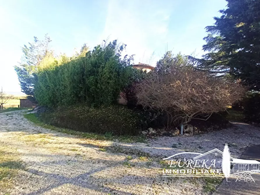 Immagine 32 di Villa in vendita  in Località Pineta a Castiglione Del Lago
