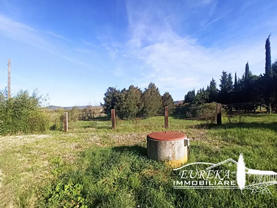 Immagine 34 di Villa in vendita  in Località Pineta a Castiglione Del Lago