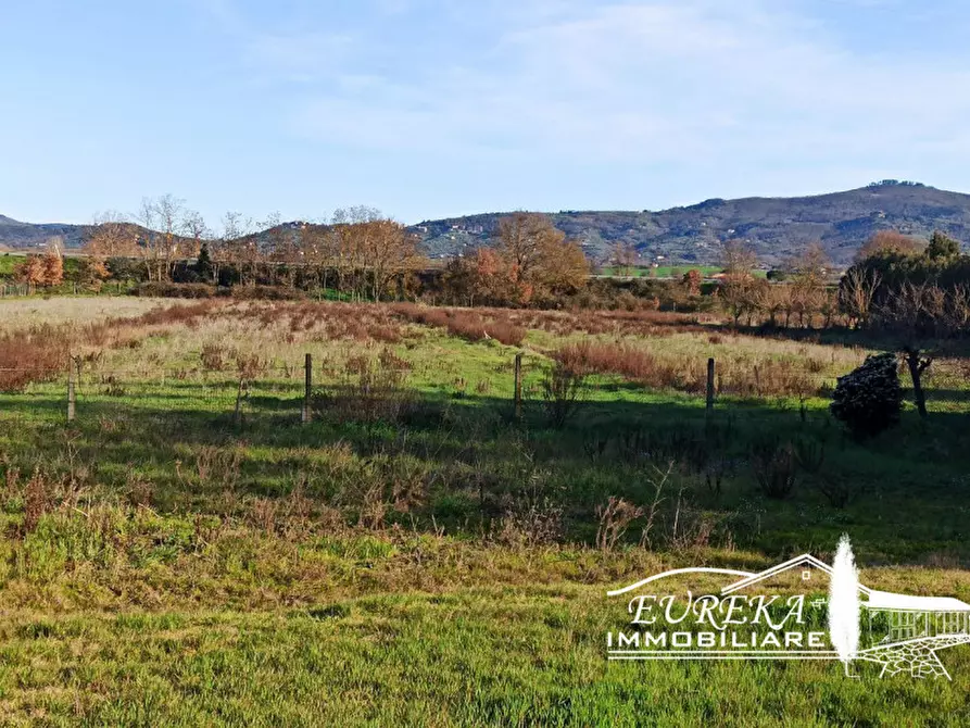 Immagine 36 di Villa in vendita  in Località Pineta a Castiglione Del Lago