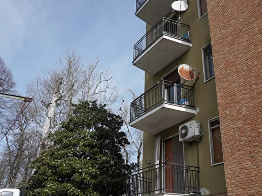 Immagine 17 di Appartamento in affitto  in Via Maria Luigia, 17 a Colorno