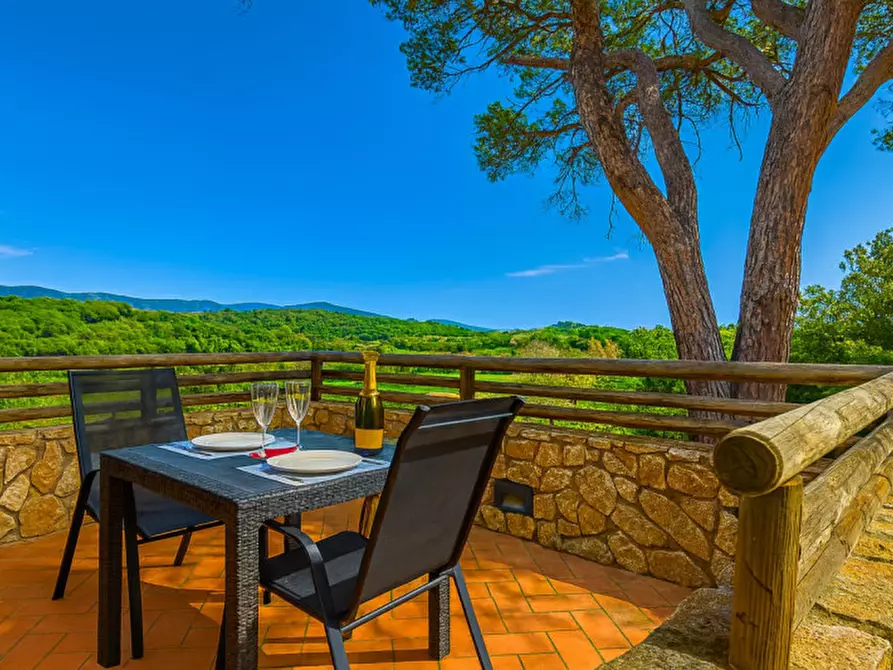 Immagine 20 di Appartamento in vendita  a Castiglione Della Pescaia