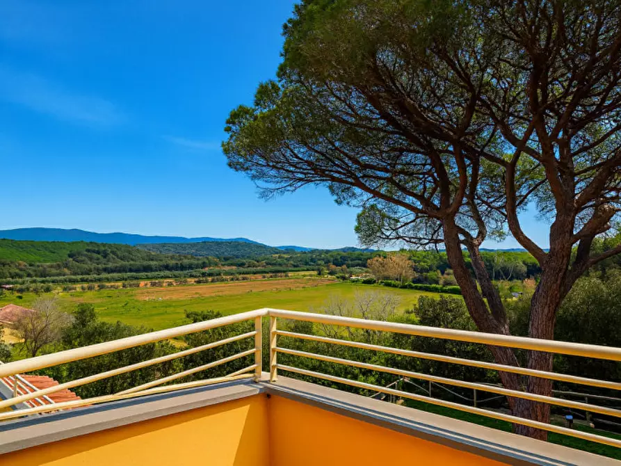 Immagine 28 di Appartamento in vendita  a Castiglione Della Pescaia