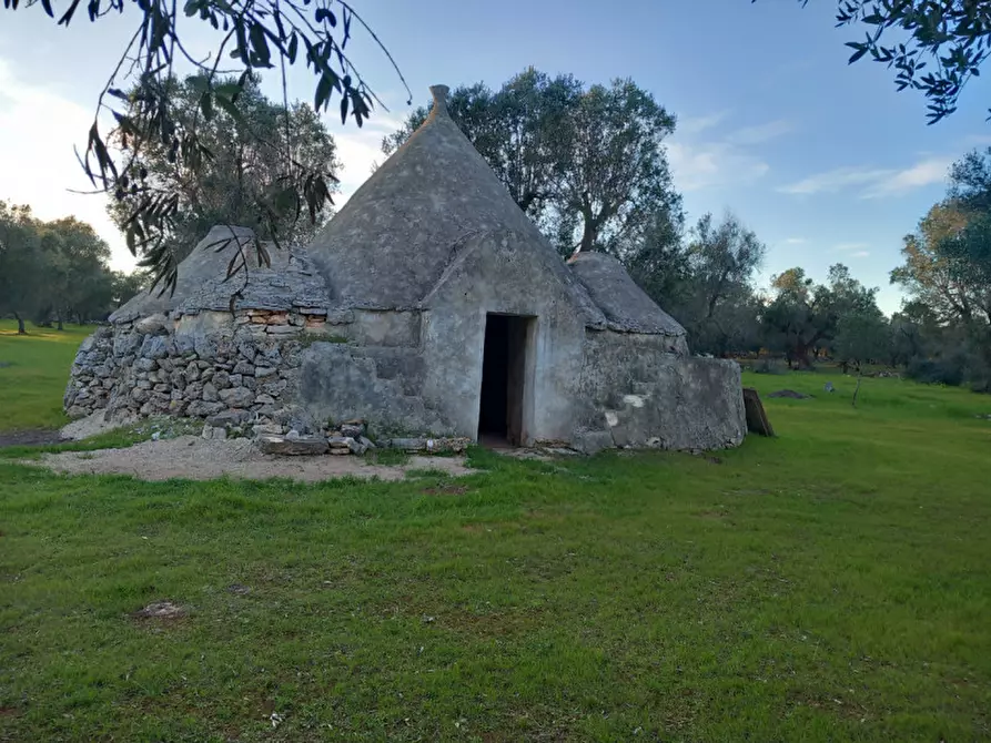 Immagine 2 di Rustico / casale in vendita  in C.da Sardella a San Michele Salentino