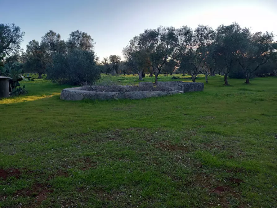 Immagine 3 di Rustico / casale in vendita  in C.da Sardella a San Michele Salentino