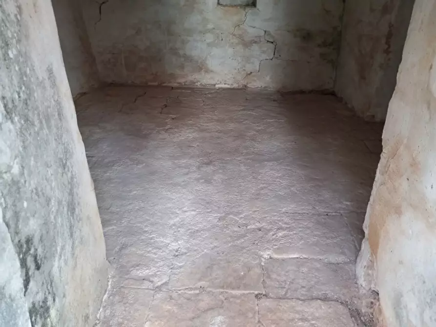 Immagine 5 di Rustico / casale in vendita  in C.da Sardella a San Michele Salentino