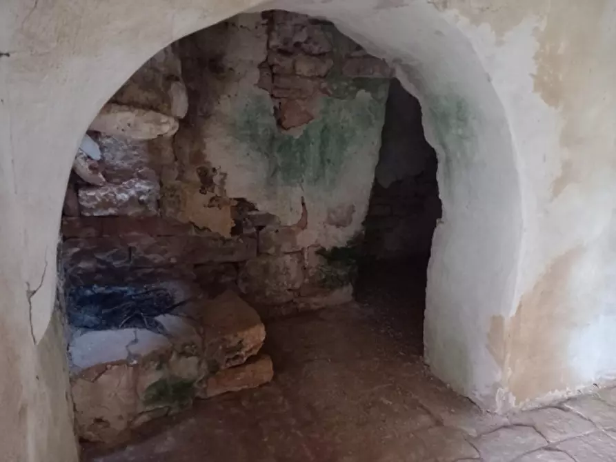Immagine 6 di Rustico / casale in vendita  in C.da Sardella a San Michele Salentino