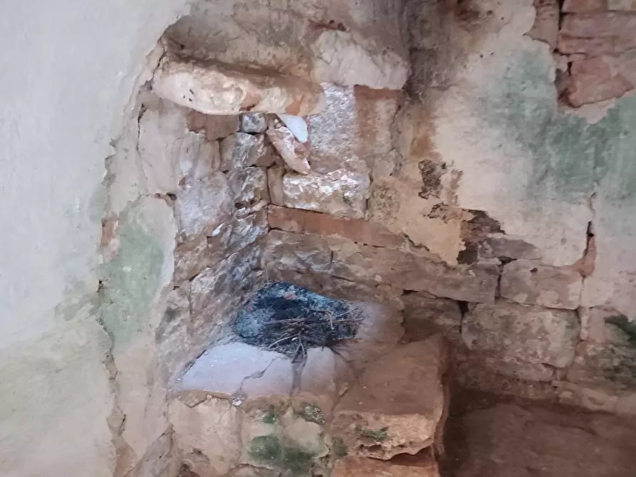 Immagine 8 di Rustico / casale in vendita  in C.da Sardella a San Michele Salentino