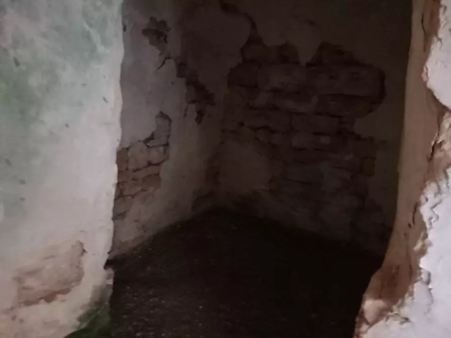 Immagine 9 di Rustico / casale in vendita  in C.da Sardella a San Michele Salentino