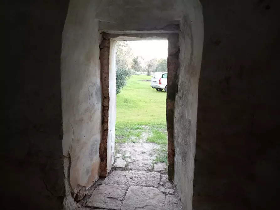 Immagine 10 di Rustico / casale in vendita  in C.da Sardella a San Michele Salentino