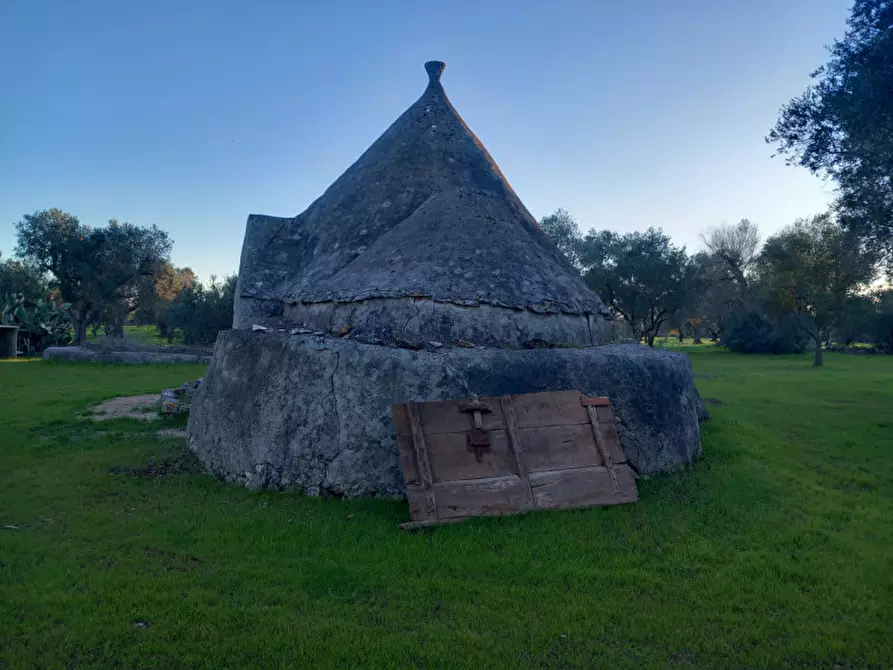 Immagine 11 di Rustico / casale in vendita  in C.da Sardella a San Michele Salentino