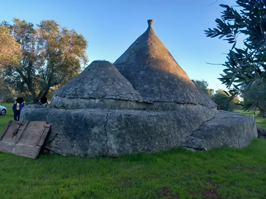 Immagine 12 di Rustico / casale in vendita  in C.da Sardella a San Michele Salentino