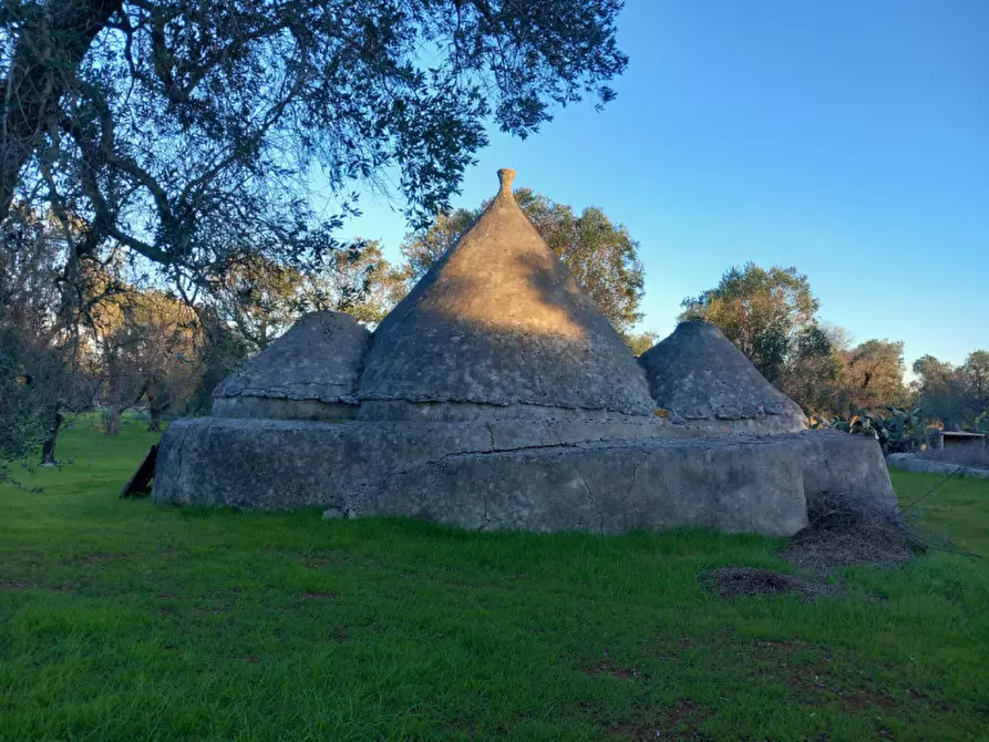 Immagine 13 di Rustico / casale in vendita  in C.da Sardella a San Michele Salentino