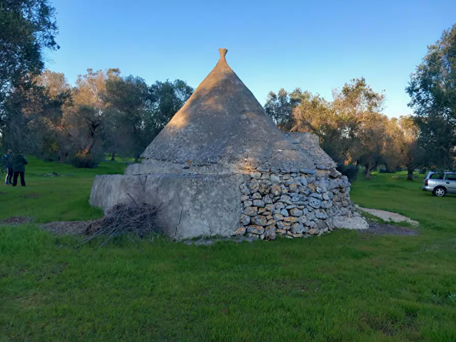 Immagine 14 di Rustico / casale in vendita  in C.da Sardella a San Michele Salentino