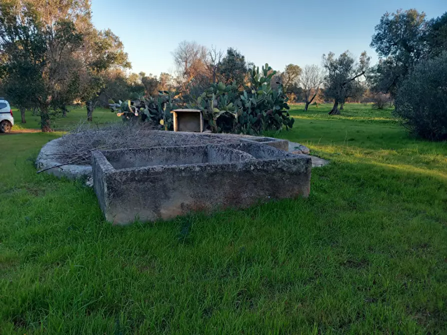 Immagine 15 di Rustico / casale in vendita  in C.da Sardella a San Michele Salentino