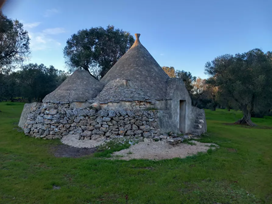 Immagine 18 di Rustico / casale in vendita  in C.da Sardella a San Michele Salentino