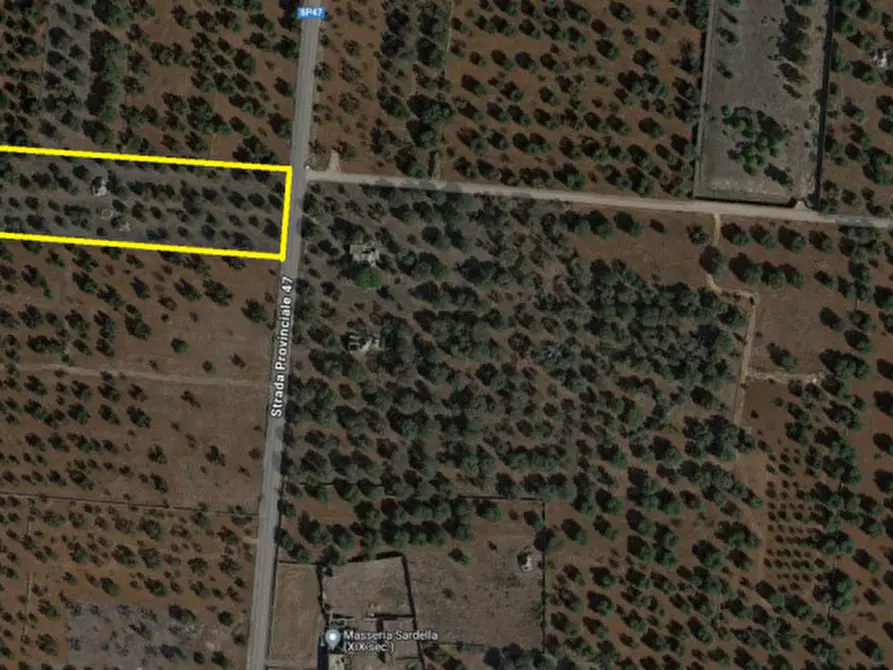 Immagine 22 di Rustico / casale in vendita  in C.da Sardella a San Michele Salentino