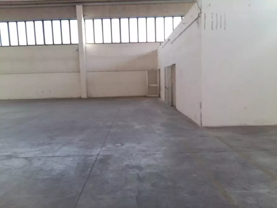 Immagine 3 di Capannone industriale in affitto  in strada provnciale 16 a Monselice