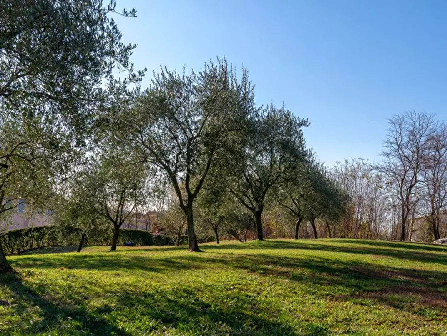 Immagine 1 di Terreno in vendita  in Località Zoppalon a Crocetta Del Montello