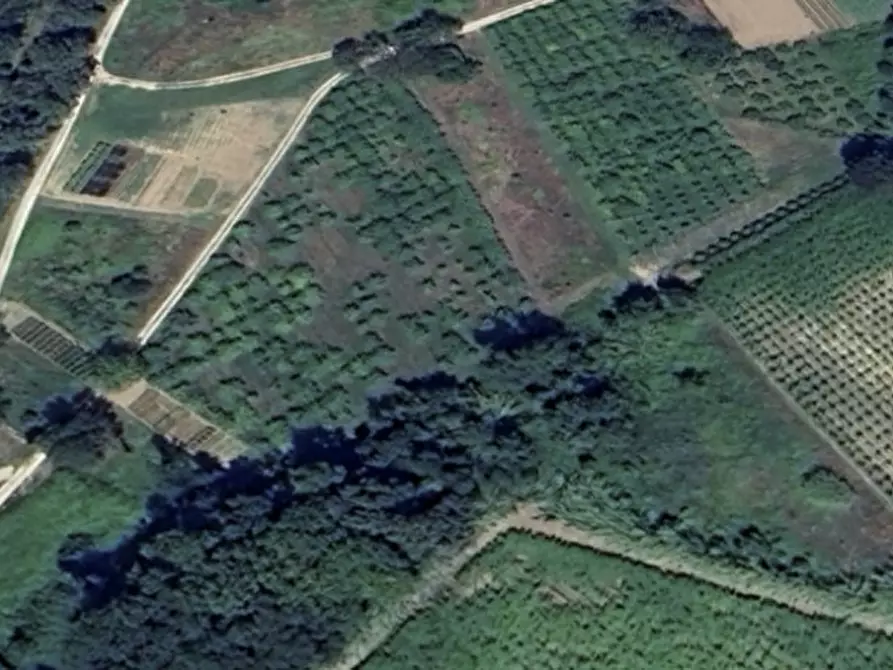 Immagine 2 di Terreno in vendita  a Miglianico
