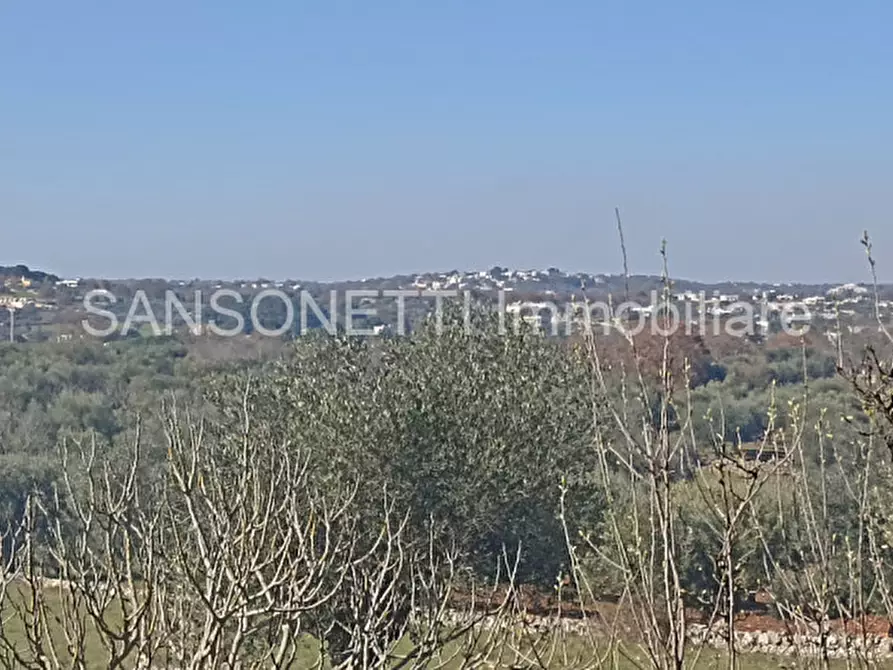 Immagine 10 di Rustico / casale in vendita  in LOSPE a Locorotondo