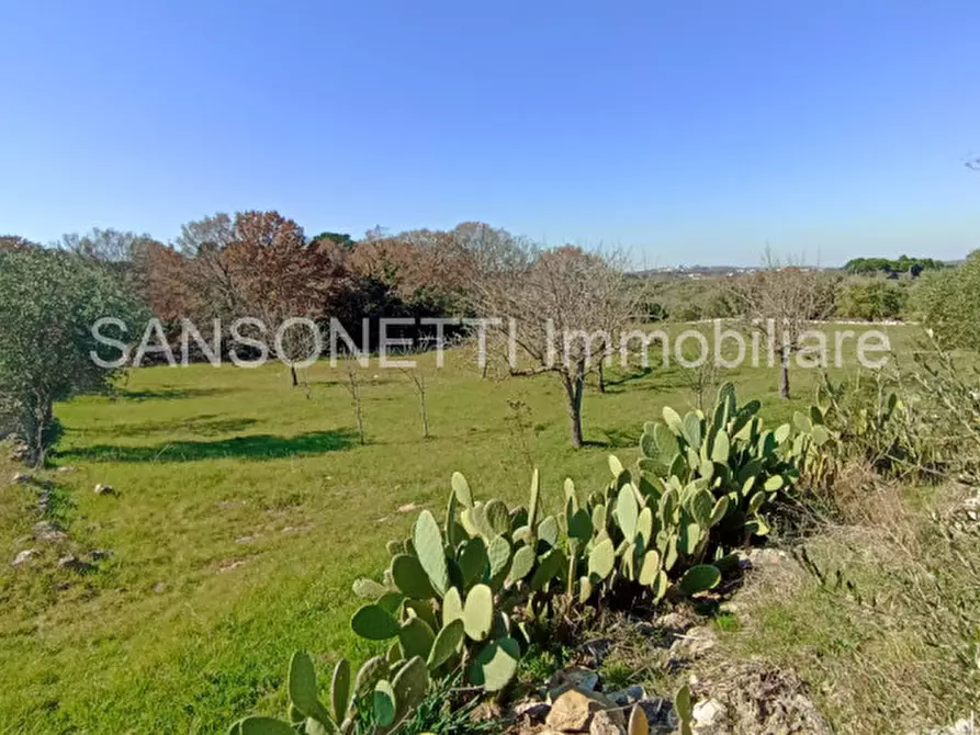 Immagine 22 di Rustico / casale in vendita  in LOSPE a Locorotondo