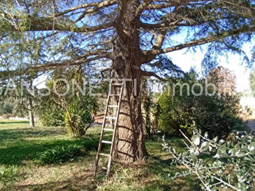 Immagine 25 di Rustico / casale in vendita  in LOSPE a Locorotondo