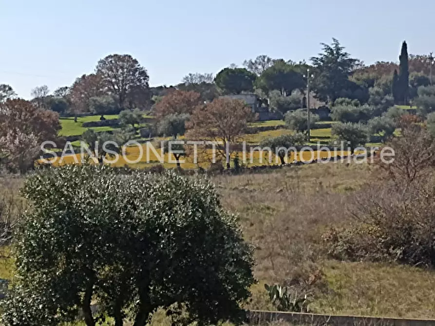 Immagine 26 di Rustico / casale in vendita  in LOSPE a Locorotondo