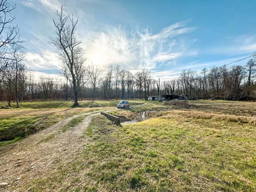 Immagine 34 di Casa indipendente in vendita  in Cascina Lama a Lenta