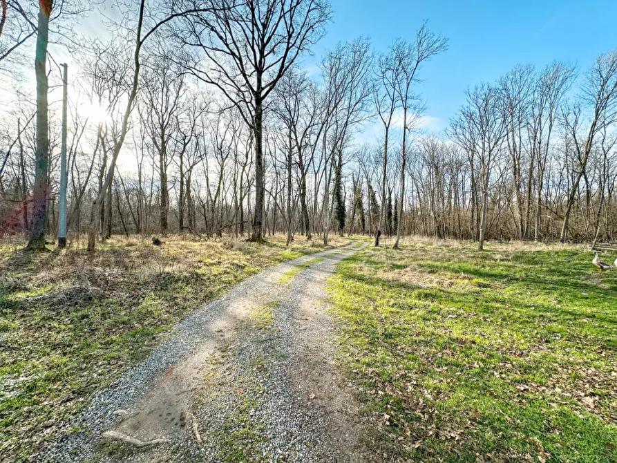 Immagine 37 di Casa indipendente in vendita  in Cascina Lama a Lenta