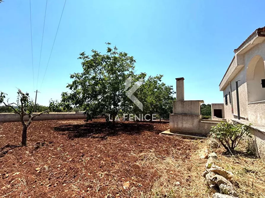 Immagine 32 di Villa in vendita  in STRADA PORCILE PALESI a Martina Franca