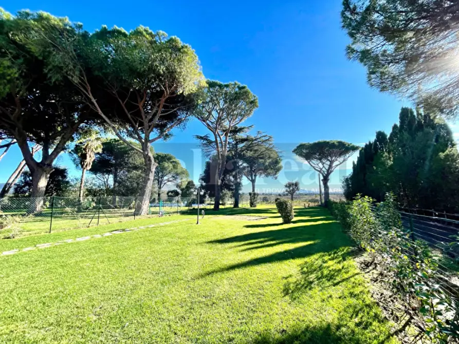 Immagine 40 di Appartamento in vendita  in Località Rombaia a Castiglione Della Pescaia