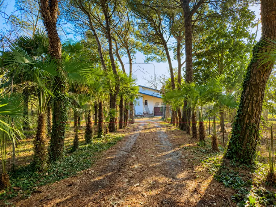 Immagine 2 di Casa indipendente in vendita  in Via Santa Caterina a Correzzola