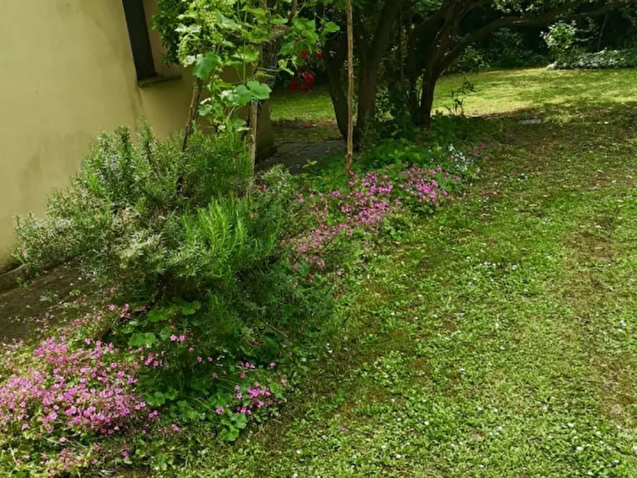 Immagine 23 di Villa in vendita  in pozzoveggiani a Padova