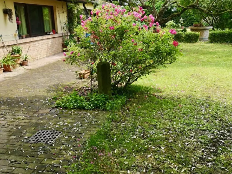 Immagine 28 di Villa in vendita  in pozzoveggiani a Padova