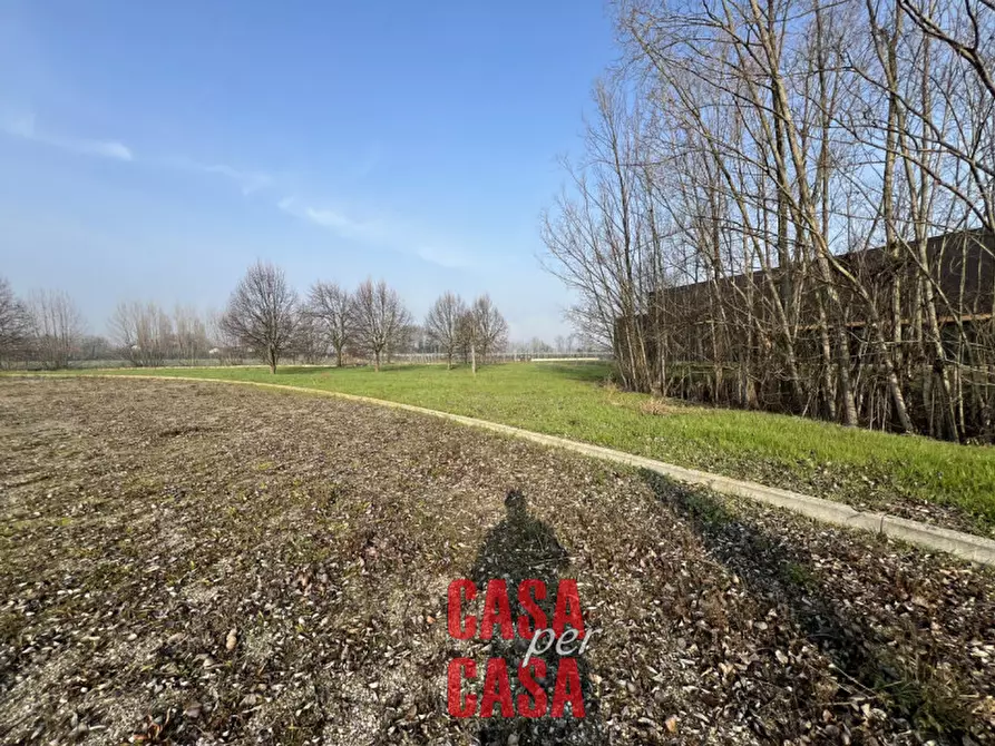 Immagine 4 di Capannone industriale in vendita  in Via Toffanin a Terrassa Padovana