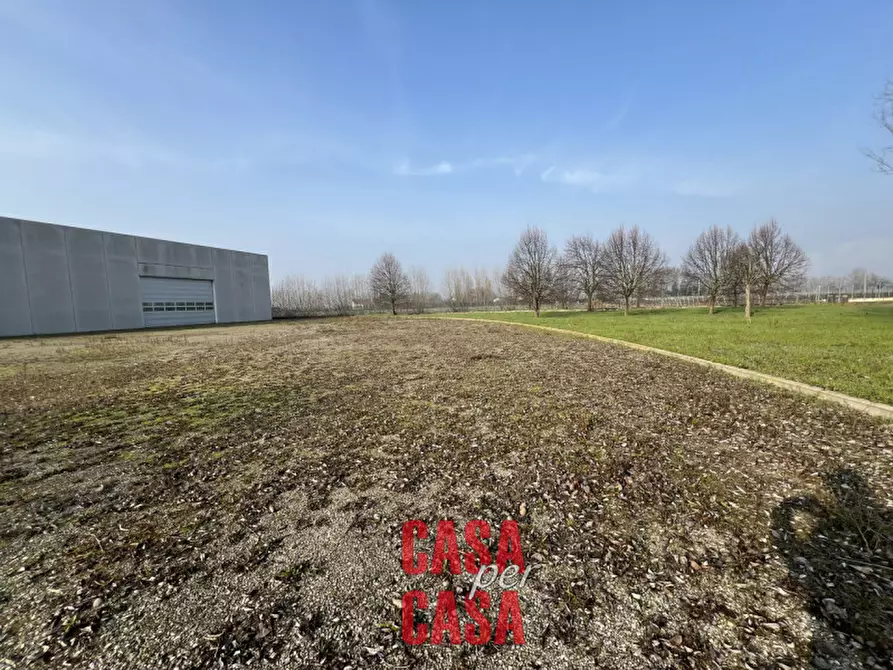 Immagine 5 di Capannone industriale in vendita  in Via Toffanin a Terrassa Padovana