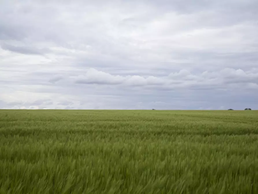 Immagine 1 di Terreno in vendita  a Campodarsego