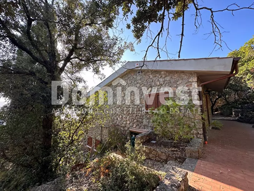 Immagine 2 di Villa in affitto  in Via delle Ginestre a Orbetello