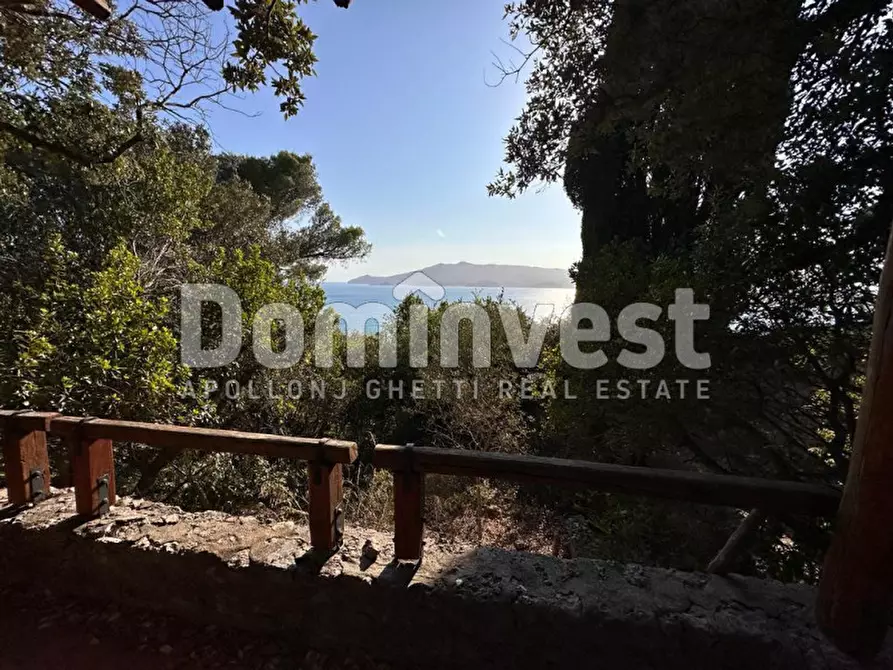 Immagine 3 di Villa in affitto  in Via delle Ginestre a Orbetello