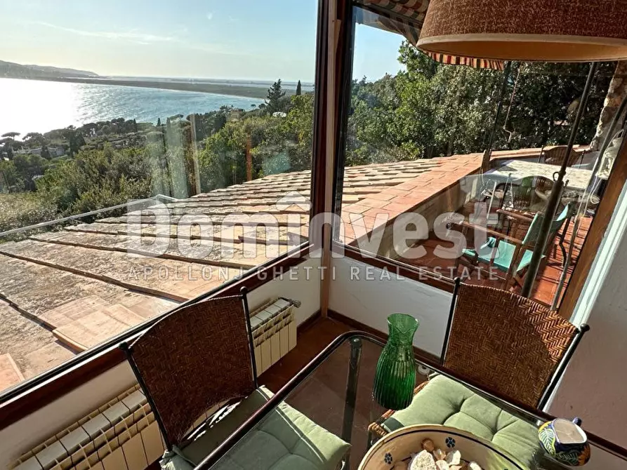 Immagine 13 di Villa in affitto  in Via delle Ginestre a Orbetello