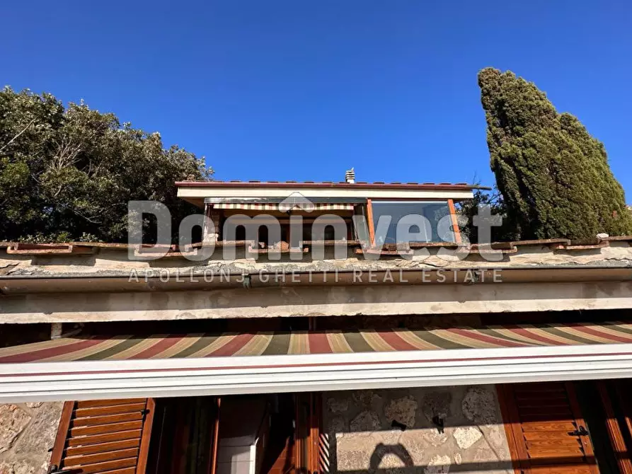 Immagine 16 di Villa in affitto  in Via delle Ginestre a Orbetello