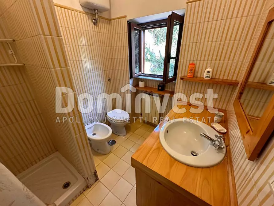 Immagine 23 di Villa in affitto  in Via delle Ginestre a Orbetello