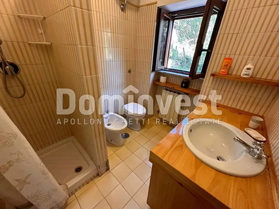 Immagine 24 di Villa in affitto  in Via delle Ginestre a Orbetello