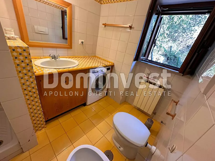 Immagine 25 di Villa in affitto  in Via delle Ginestre a Orbetello