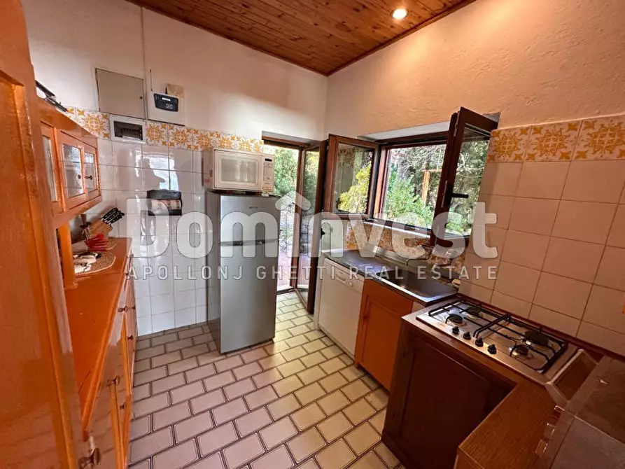 Immagine 27 di Villa in affitto  in Via delle Ginestre a Orbetello