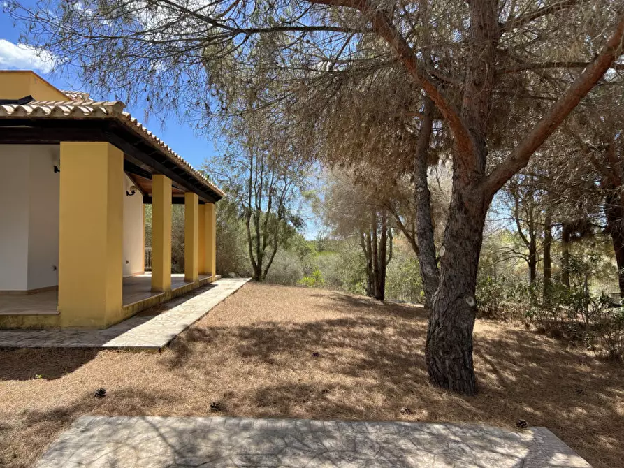 Immagine 5 di Casa indipendente in vendita  in Cala Zavorra a Sarroch