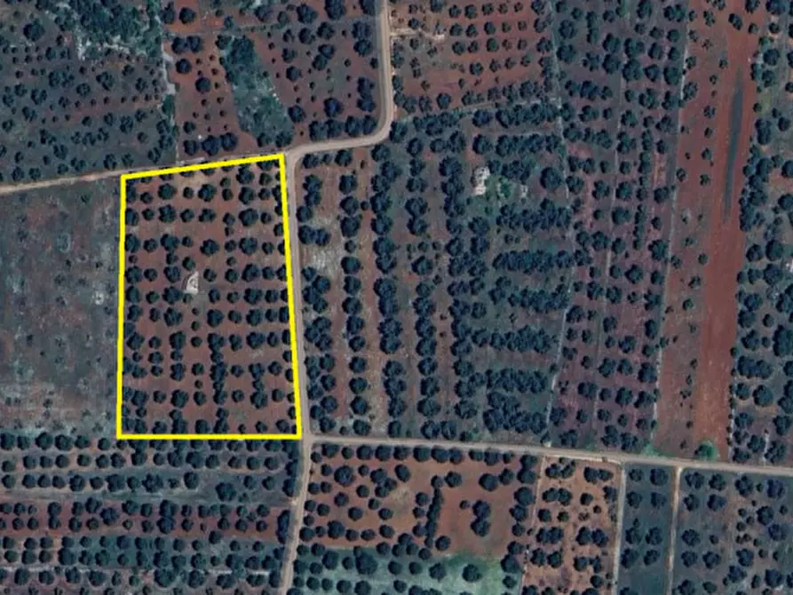 Immagine 24 di Rustico / casale in vendita  in C.da Archi Vecchi a San Michele Salentino