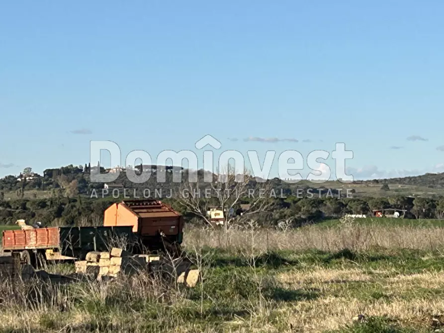 Immagine 1 di Rustico / casale in vendita  in Strada Tavolaro a Capalbio