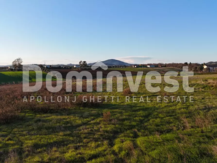 Immagine 3 di Rustico / casale in vendita  in STRADA PROVINCIALE PESCIA ROMANA a Capalbio