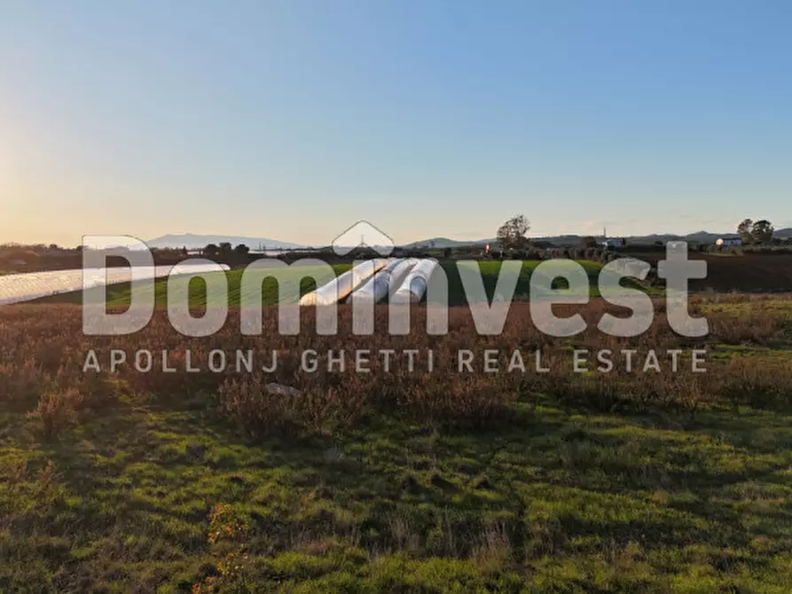 Immagine 4 di Rustico / casale in vendita  in STRADA PROVINCIALE PESCIA ROMANA a Capalbio